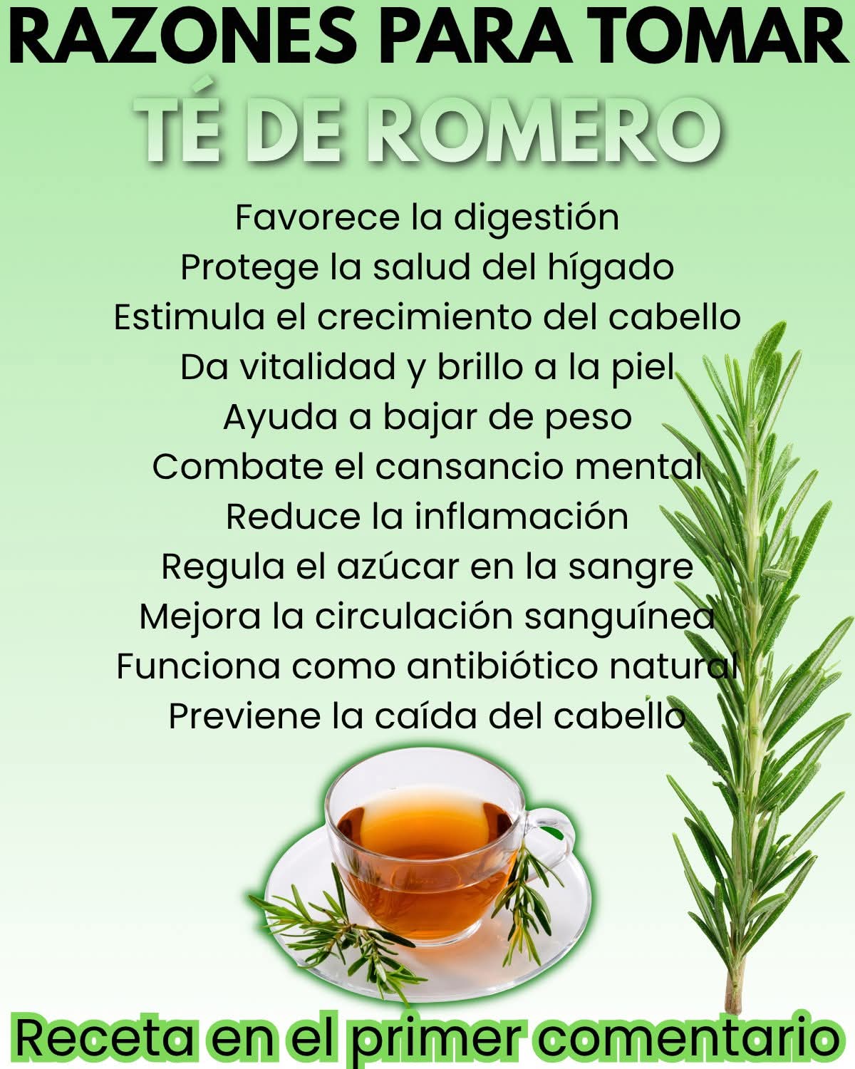 Te de Romero: 11 Razones para tomarlo en ayunas..