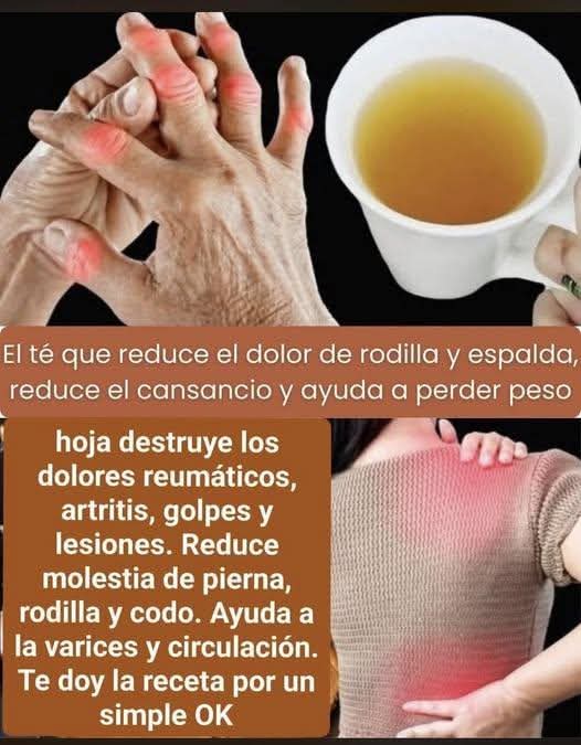 1 hoja destruye los dolores reumáticos, artritis, golpes y lesion..ver mas
