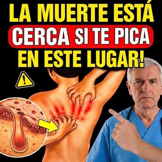 3 zonas del cuerpo que pican: Una señal de alerta de peligro de vida y reducción de la vida. … Ver más