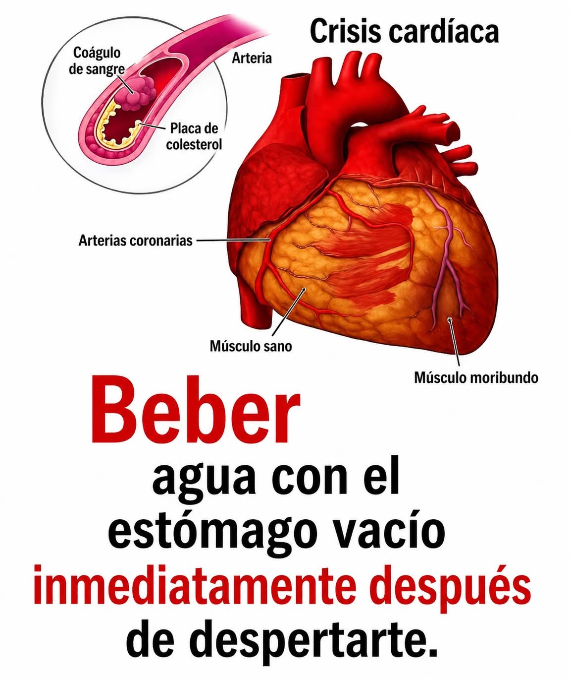¿Sabías que beber agua en ayunas podría serlo… ver más
