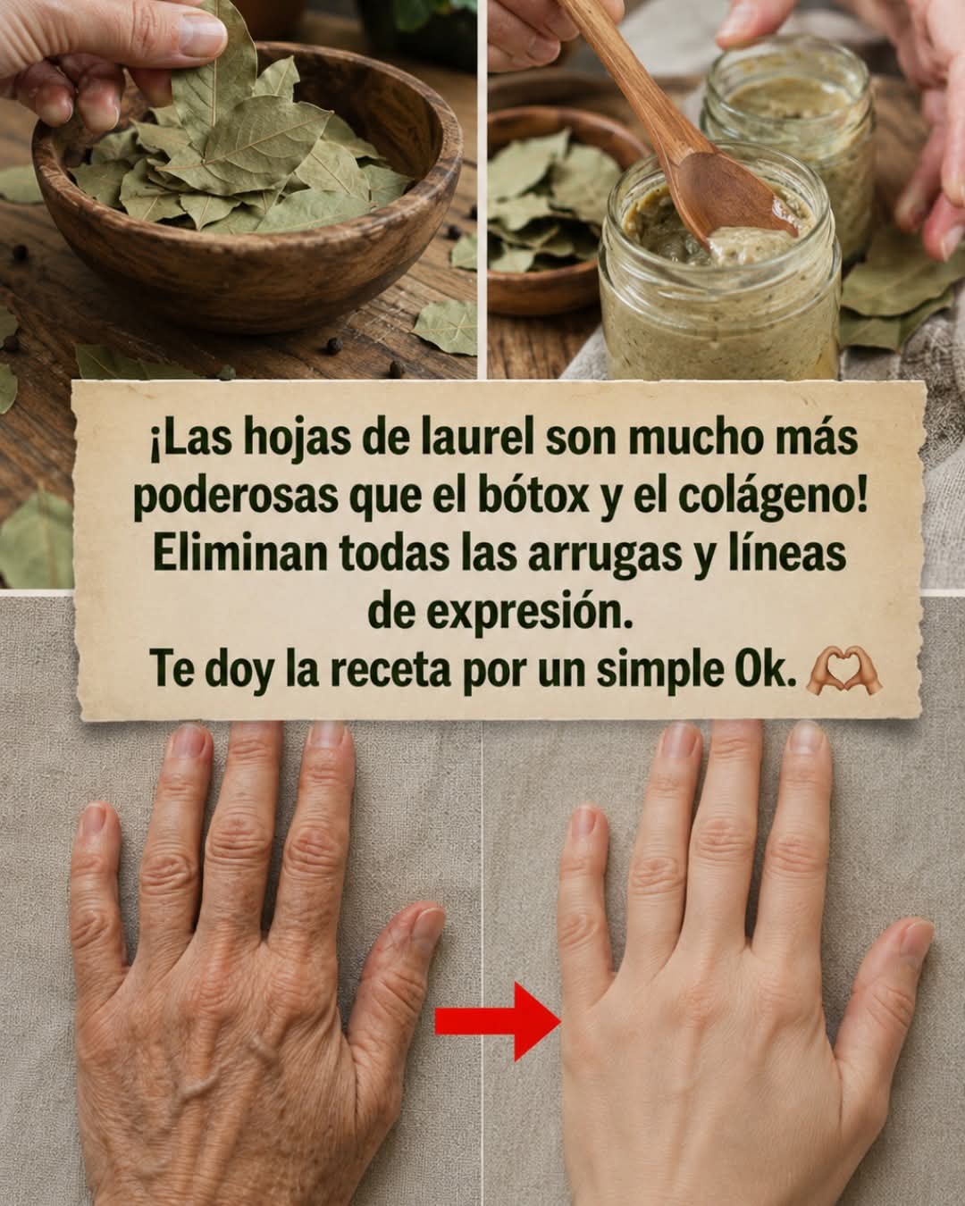 ¡Las hojas de laurel son mucho más poderosas que el bótox y el colág..ver mas