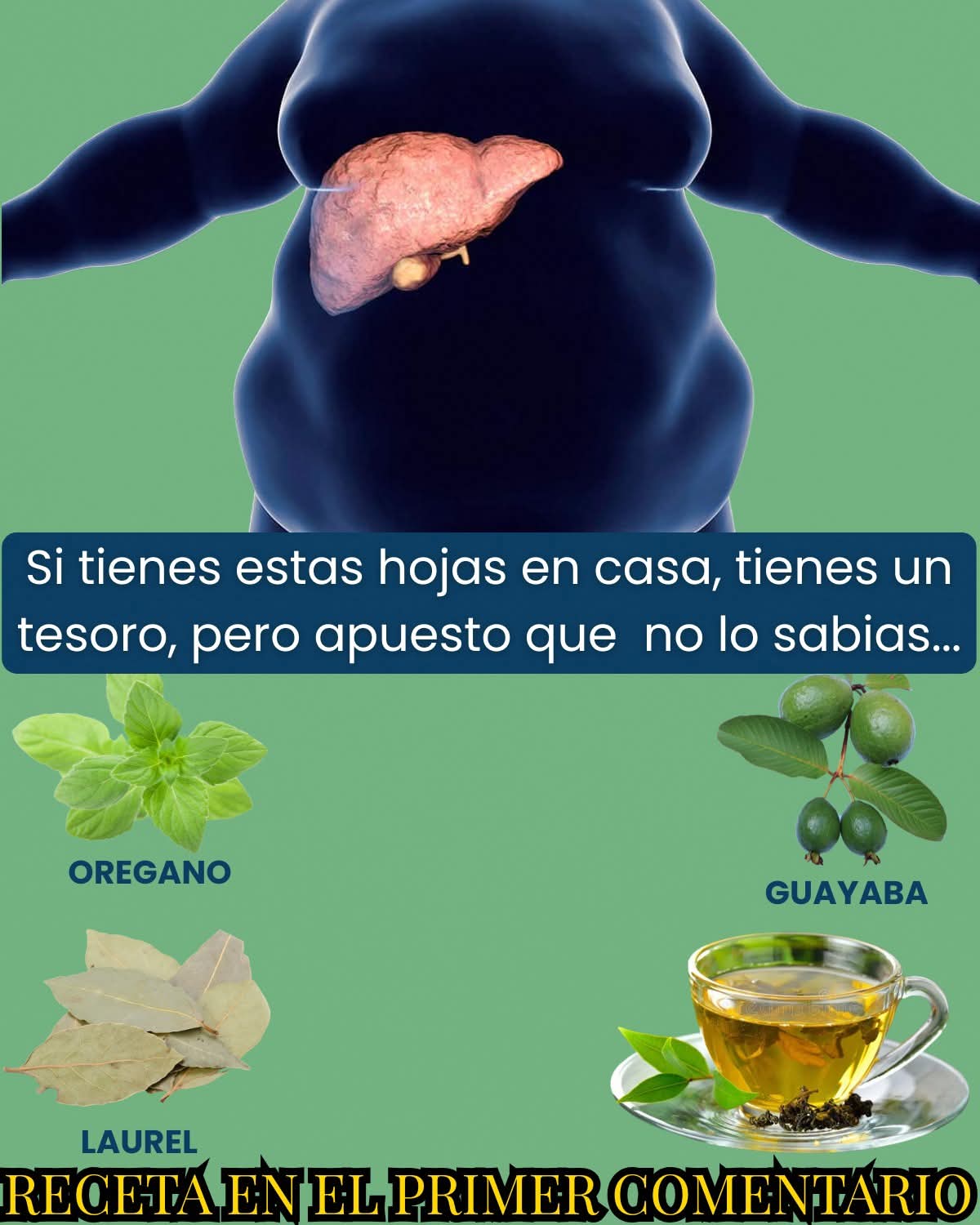3 hojas que apoyan el higado y la bilis y casi nadie las usa..ver mas