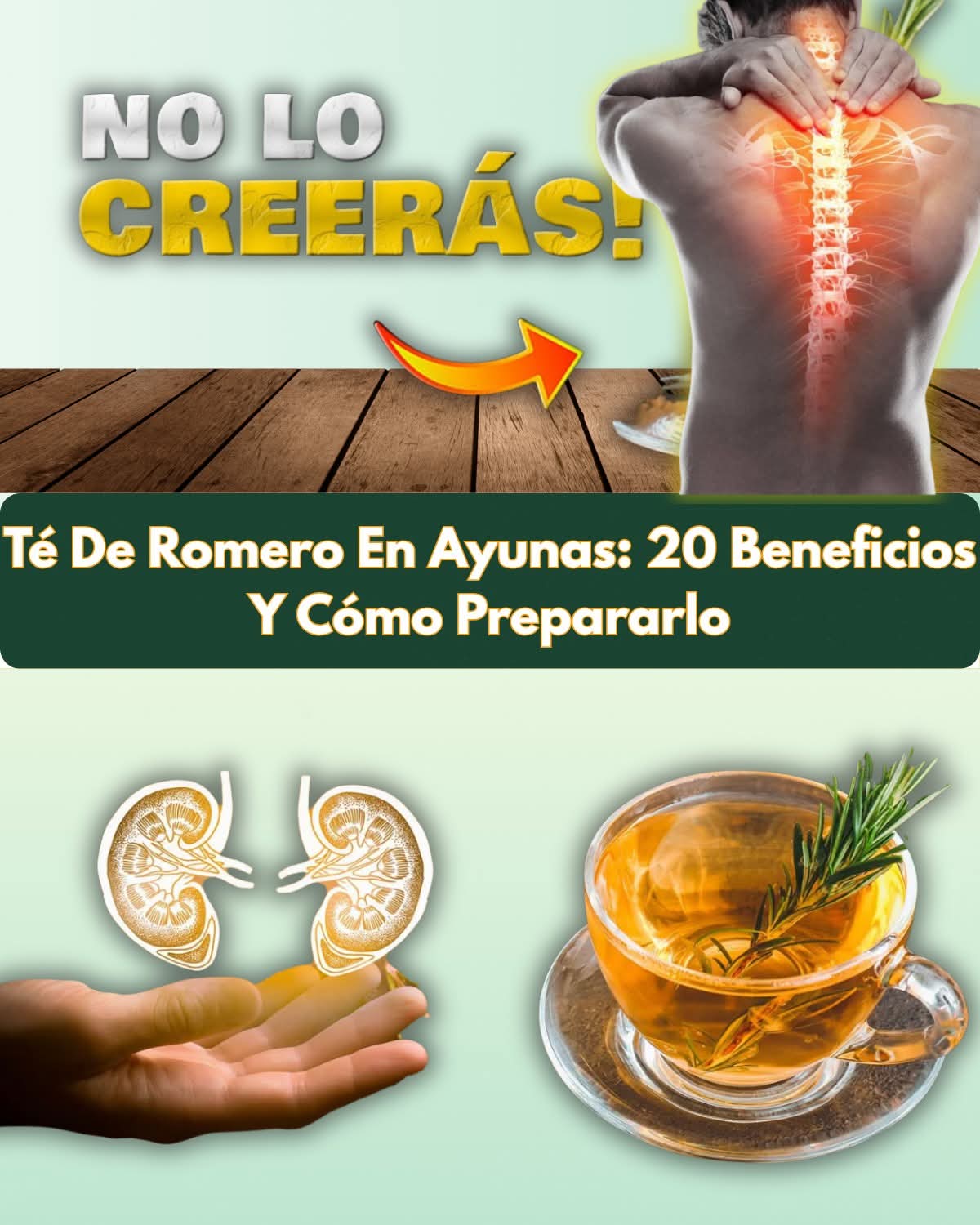 Té De Romero En Ayunas: 20 Beneficios Y Cómo Tomarlo en el coment..ver mas