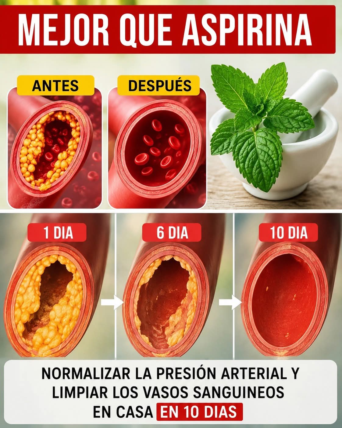 Di adiós a las arterias obstruidas con estos poder..ver mas