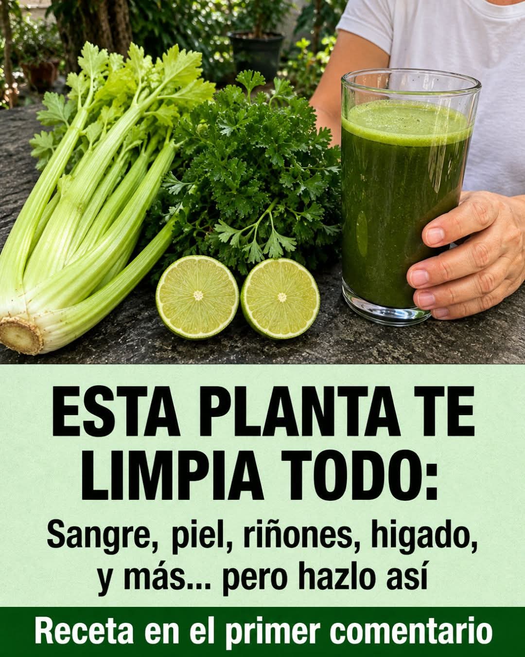 Descubre la planta que, con solo una dosis, purifi..ver mas