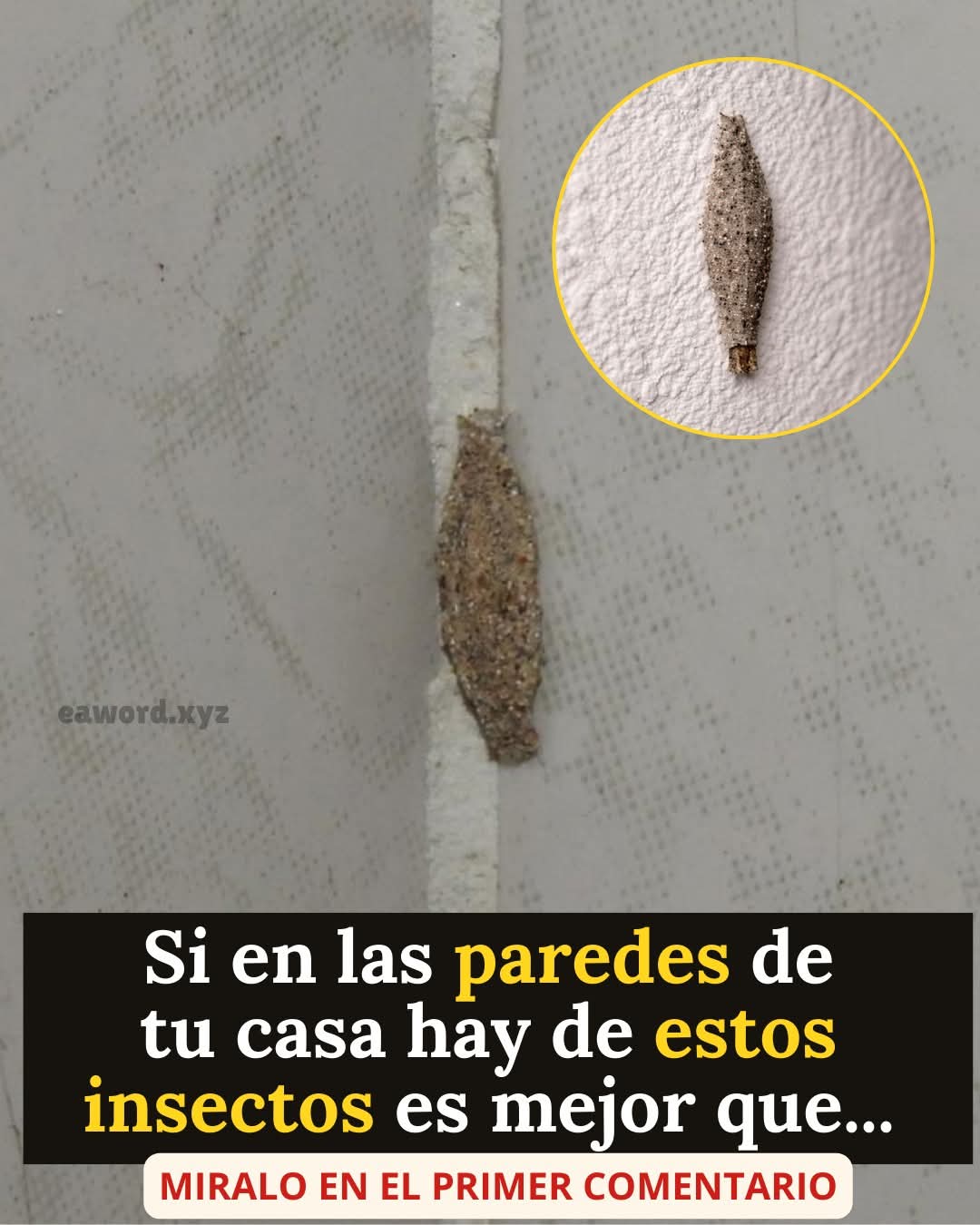 No sabía que era esto….…Ver más