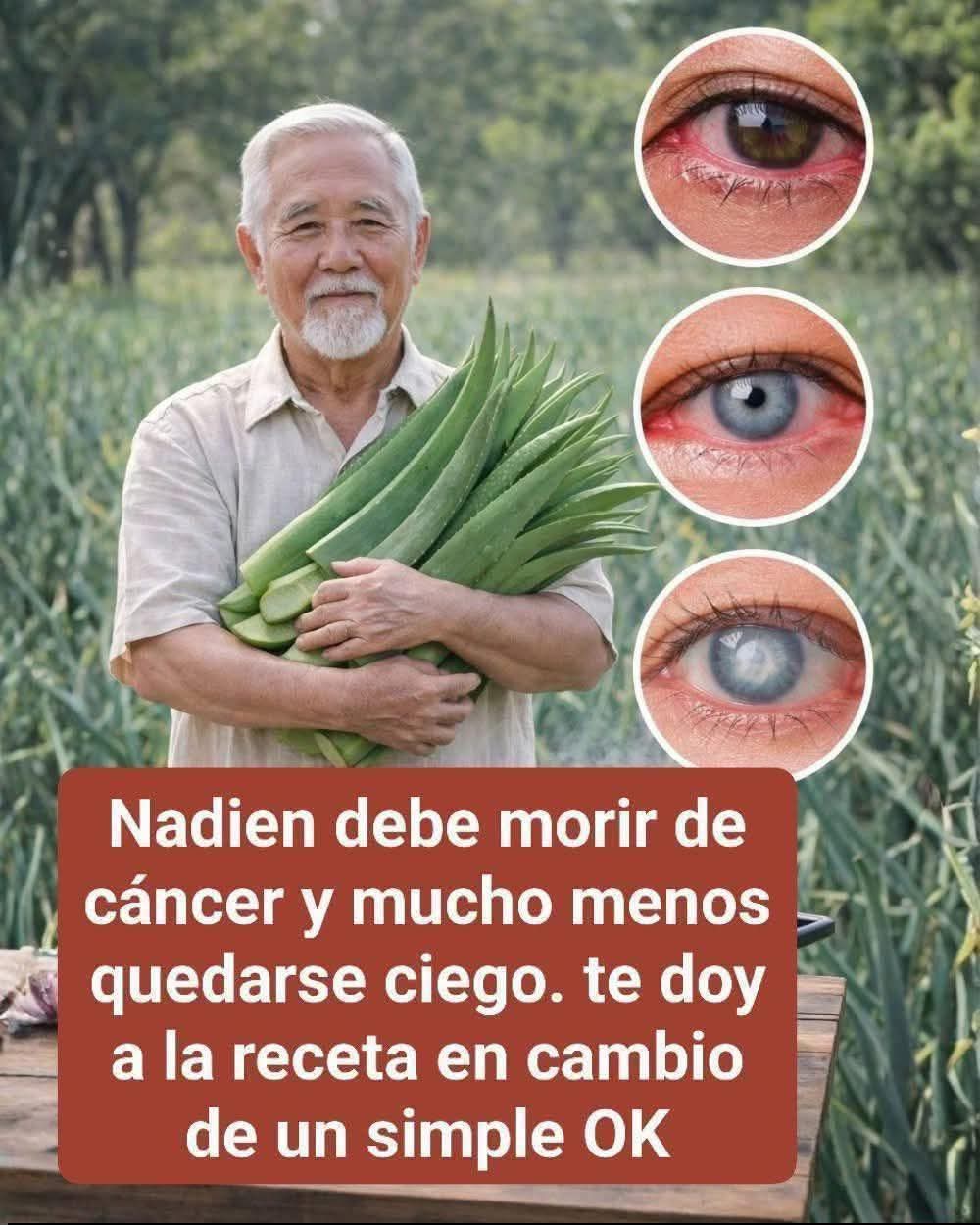 Recetas Saludables: Canela y Aloe..Ver mas