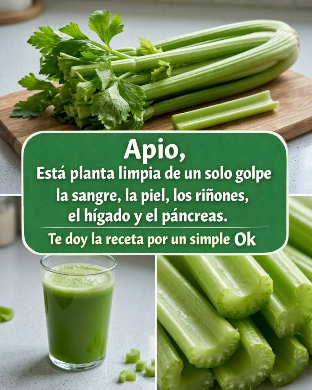 Limpia la sangre, la piel, los riñones, el hígado y el páncreas. Pero…Ver Mas