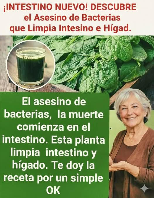 Esta planta verde limpia intestinos e hígado de forma natu..ver mas
