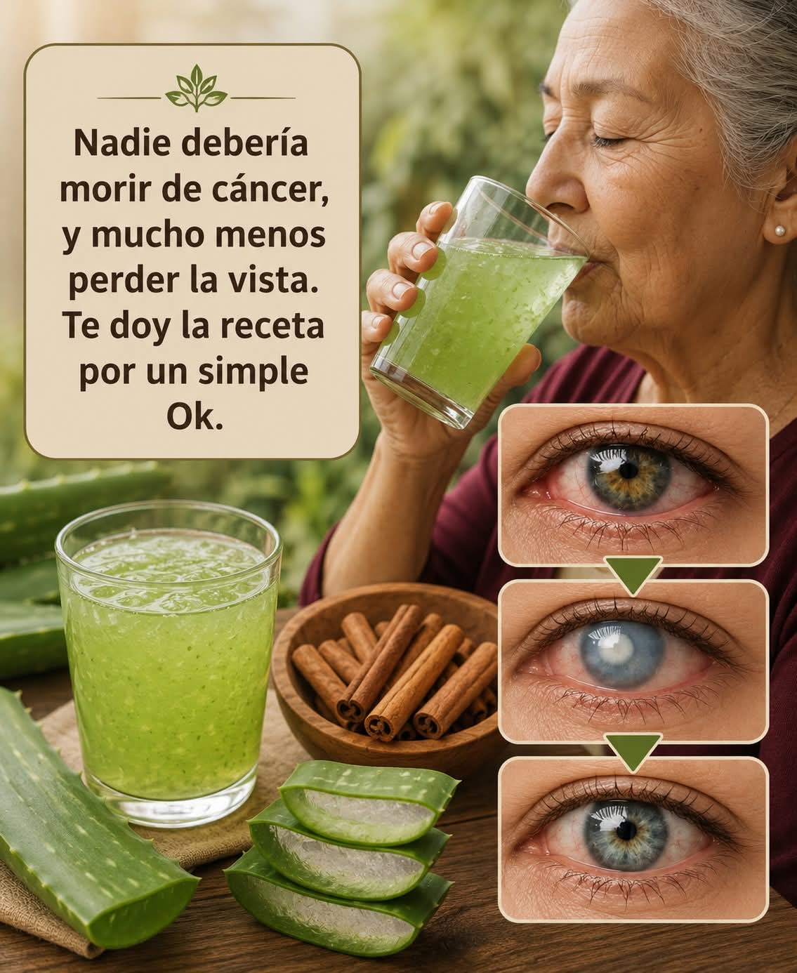 Aloe Vera con Canela: el dúo casero que cuida tu biene..ver mas
