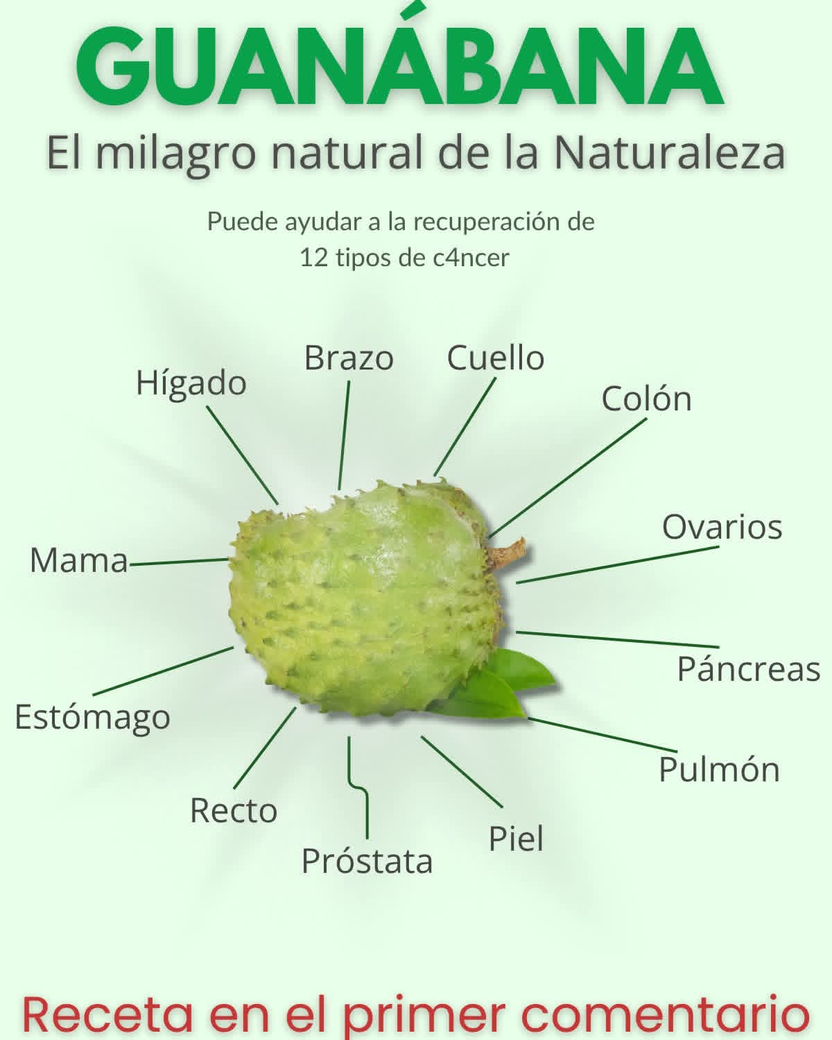 Guanabana: Fruta milagrosa de la Natura..ver mas