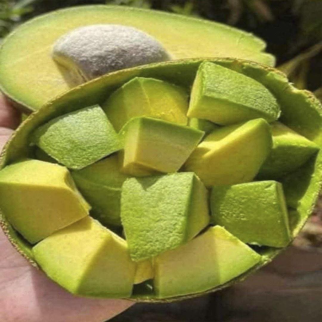 Médicos revelan q el consumo d aguacate provoca in….ver más