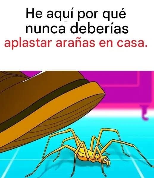 Los beneficios inesperados de tener arañas en casa…ver más