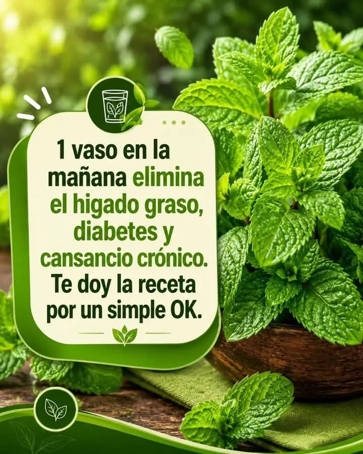 1 vaso en la mañana elimina el hígado graso, diabetes y cansan..ver mas
