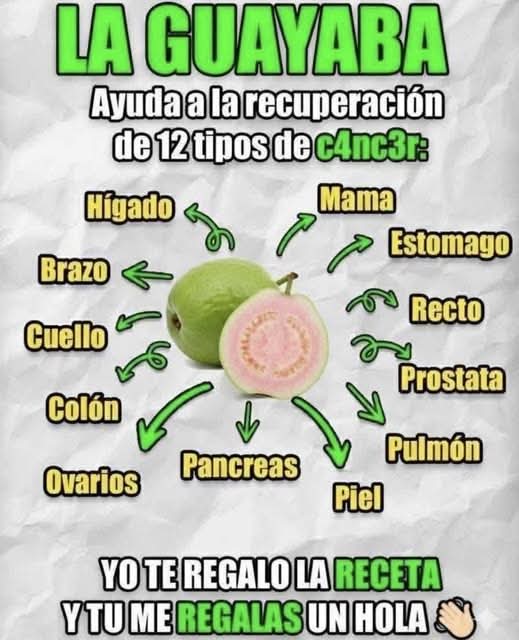 La hoja de guayaba es la más milagrosa de la tierra….Ver más