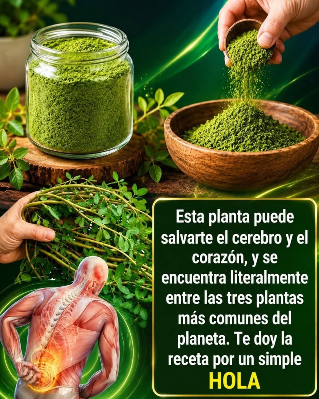 Esta planta puede salvarte el cerebro y el corazón, y se encuent..ver mas