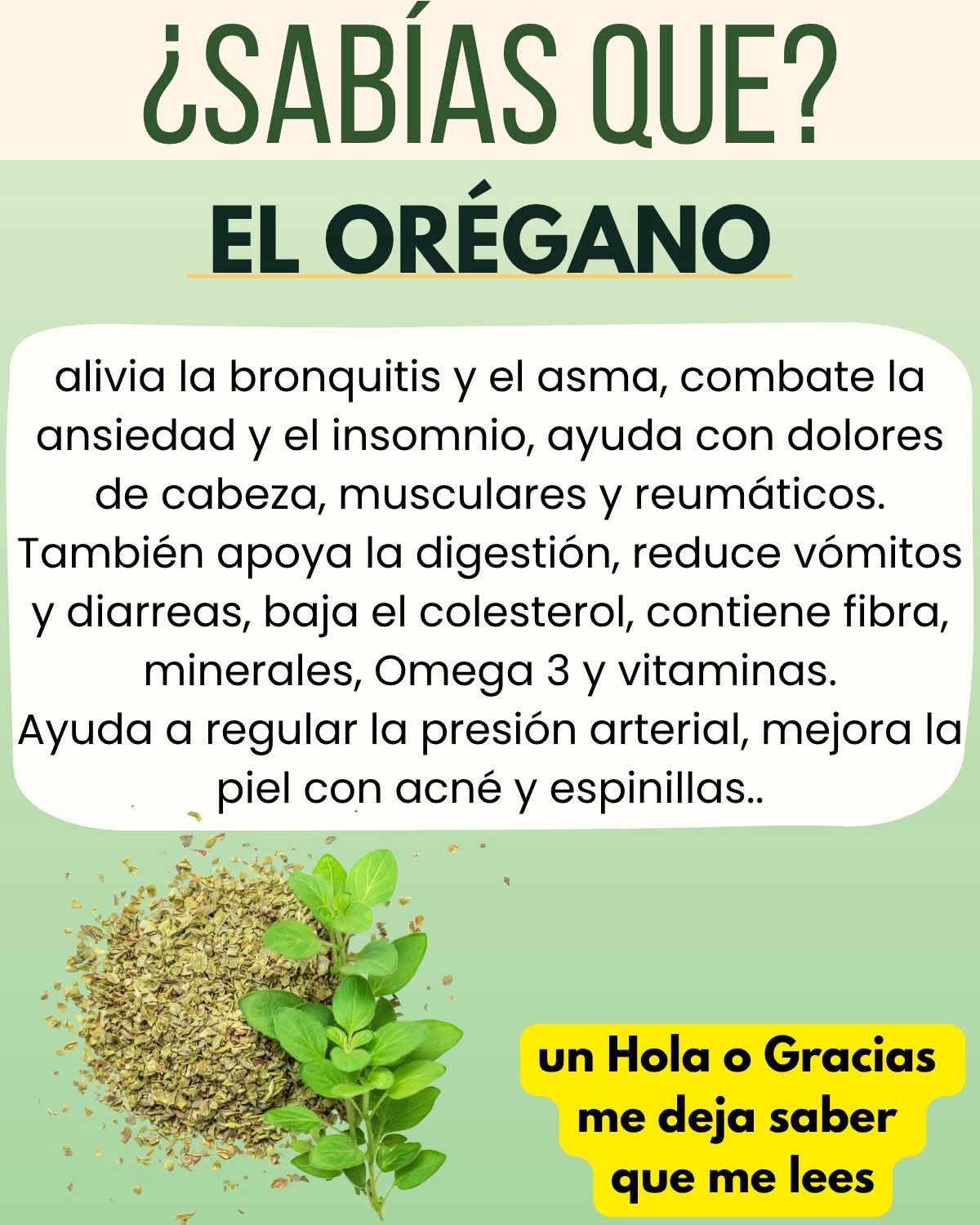 🍃 Una de las hierbas más poderosas para la salud está más cerca..ver mas