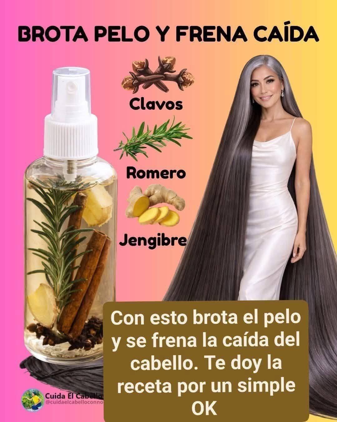 Con esto brota el pelo y se frena la caída del cabello…ver mas