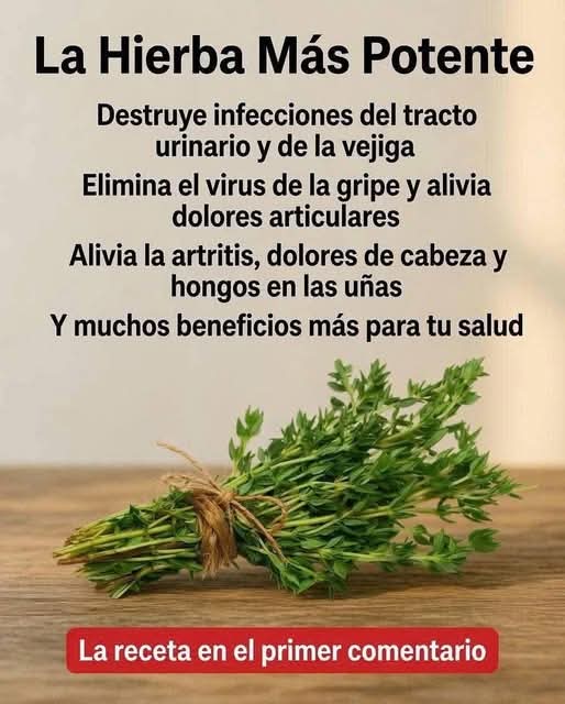 Receta y beneficios del tomillo planta medicinal….. ver más