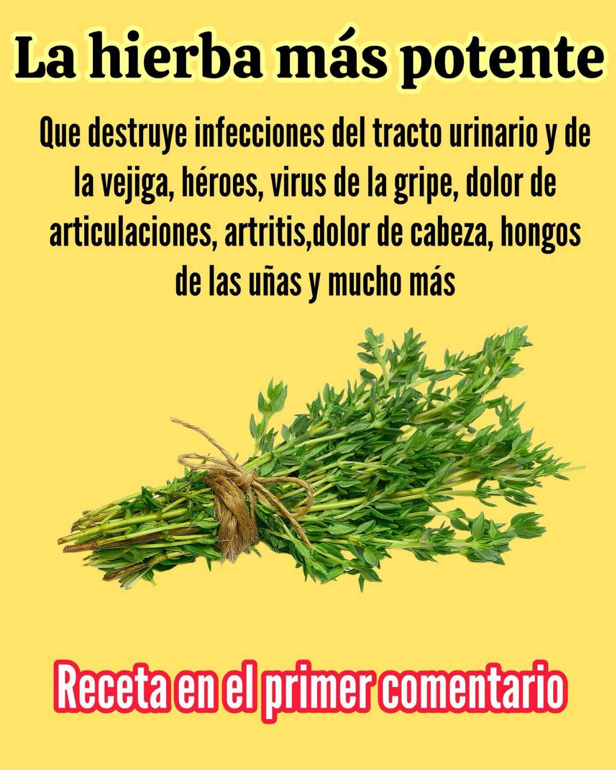 La hierba más potente del cuerpo que ayuda a desinflamar, infecciones, dolores articula..ver mas