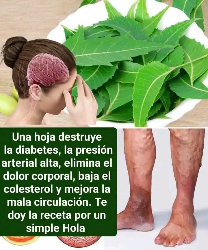 Hojas de Neem para Mejo…ver mas