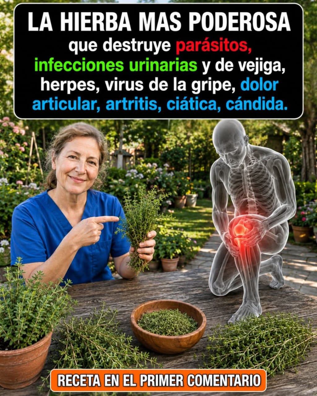 La hierba más curativa que cura todo🍀 Para seguir recibie..ver mas