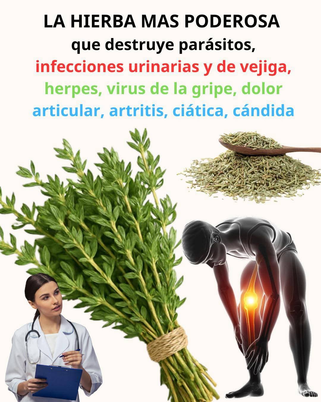 La hierba más curativa que cura todo🍀 Para segui..ver mas