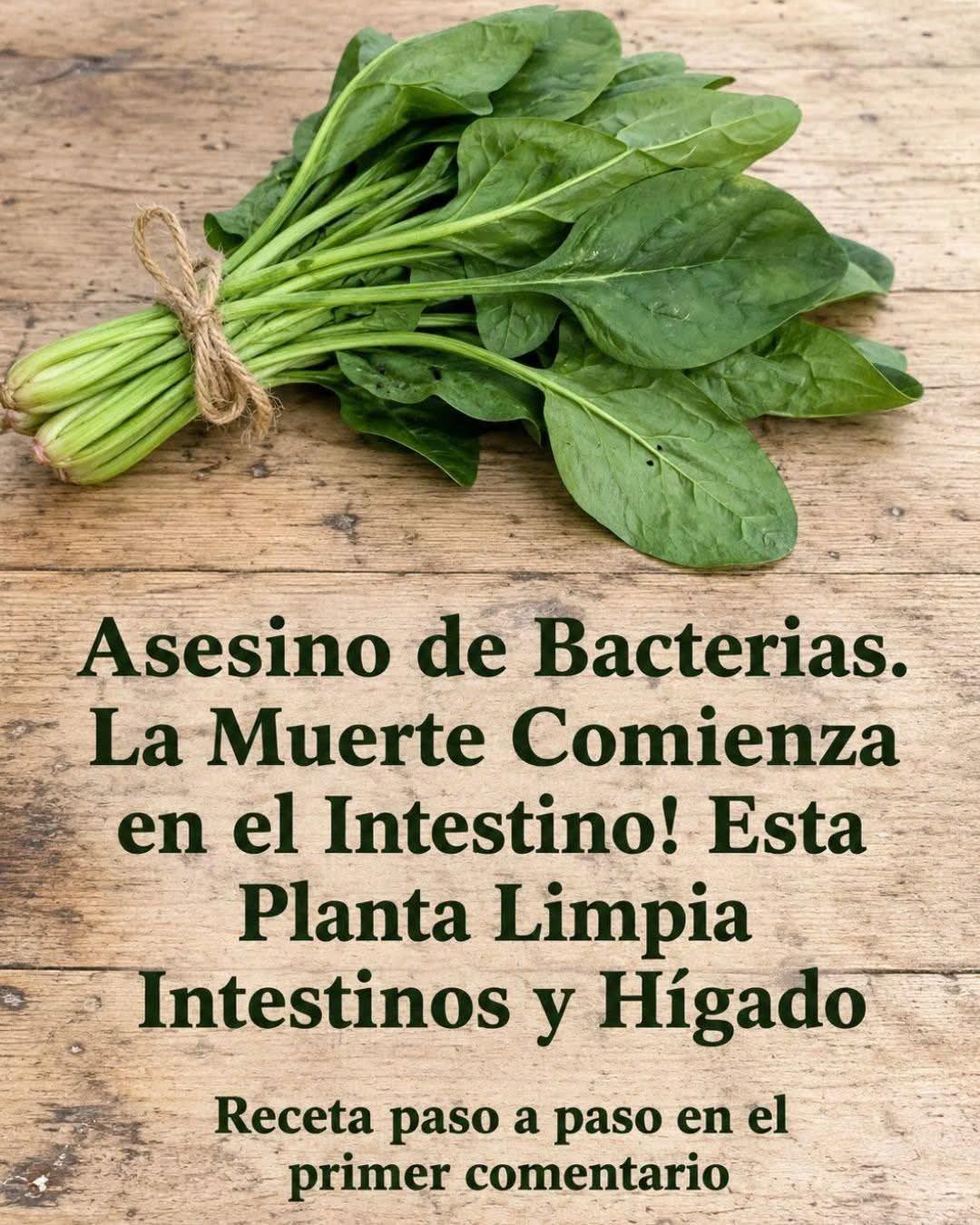 Le llaman el asesino de bacterias. Ver más